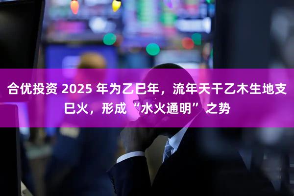 合优投资 2025 年为乙巳年，流年天干乙木生地支巳火，形成 “水火通明” 之势