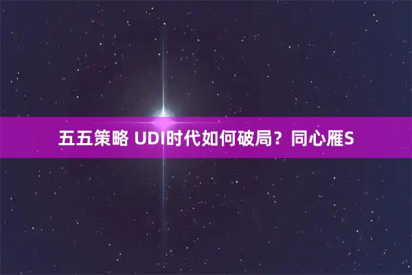 五五策略 UDI时代如何破局？同心雁S