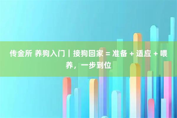 传金所 养狗入门｜接狗回家 = 准备 + 适应 + 喂养，一步到位